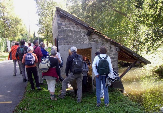 2007 10 Bois de Rochefort 25